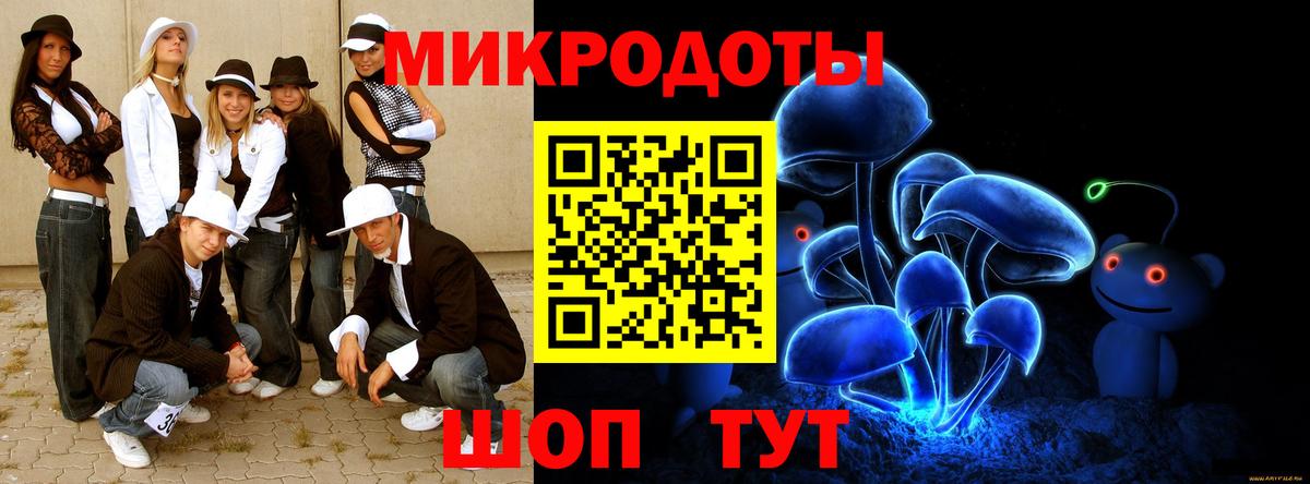Псилоцибиновые грибы Psilocybe Горно-Алтайск