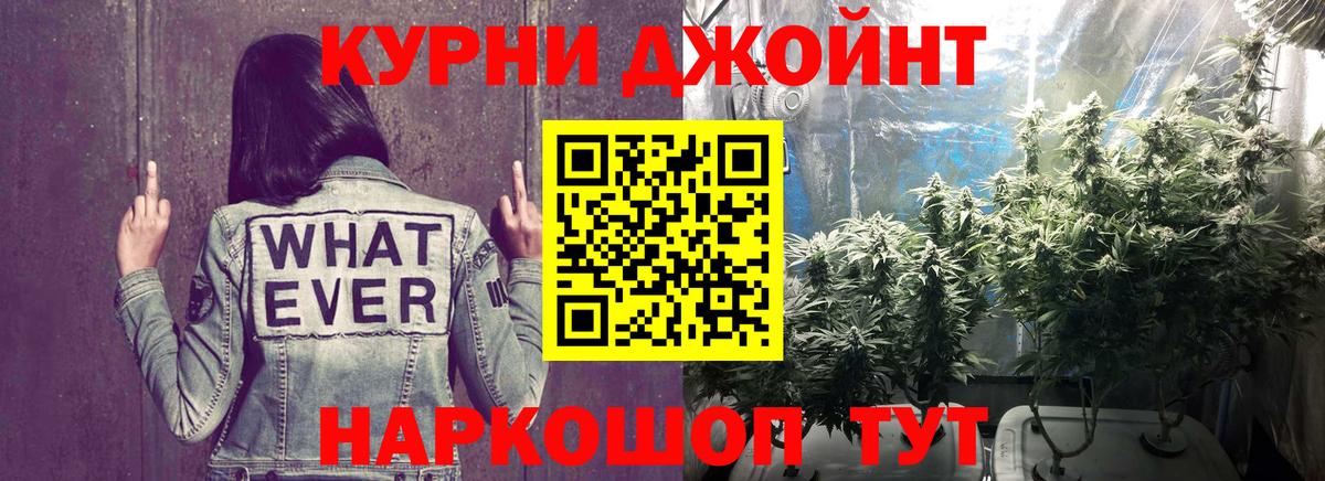 Бошки марихуана планчик  Марихуана план  Горно-Алтайск  Марихуана семена  Вход с VPN 